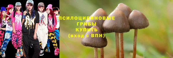 эйфоретик Белоозёрский