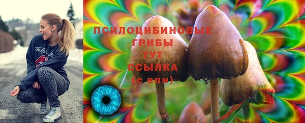 синтетический гашиш Беломорск