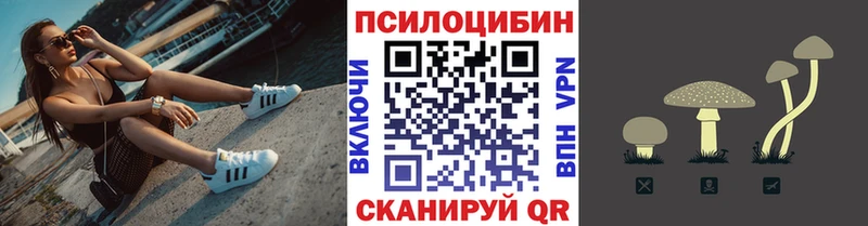 Псилоцибиновые грибы GOLDEN TEACHER  Невель 